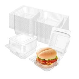 Clear Plastic Hinged Take Out Containers