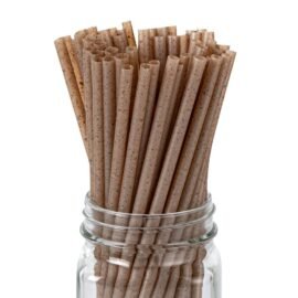 Disposable sustainable use of straws